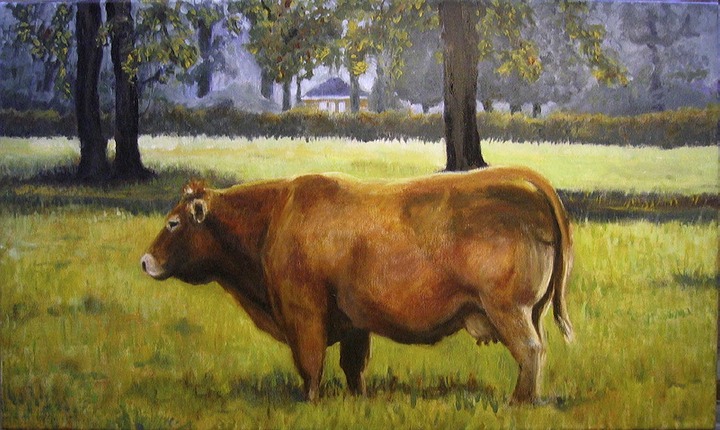 la limousin